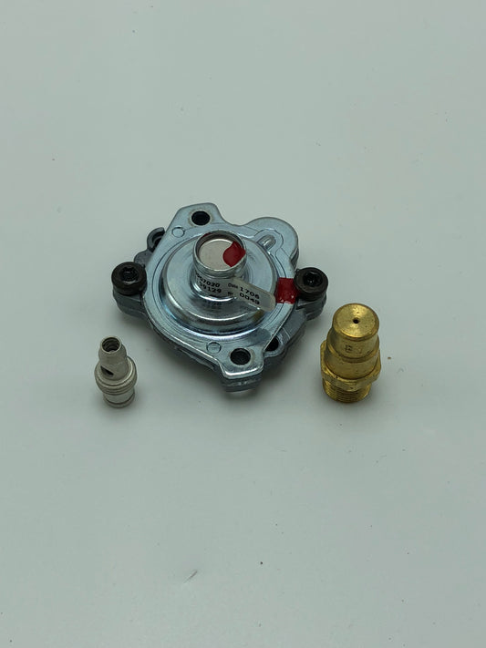 Conversion Kit, Electronic Ignition, Natural to Propane